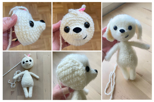 Bichon Frisé 🐾
